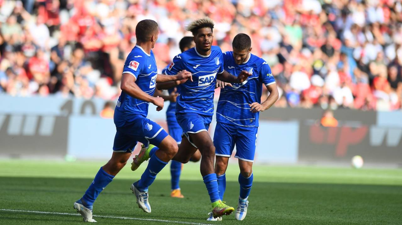 Hoffenheim Puan Durumları