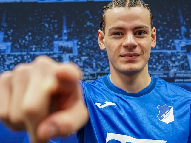 Hoffenheim Puan Durumu