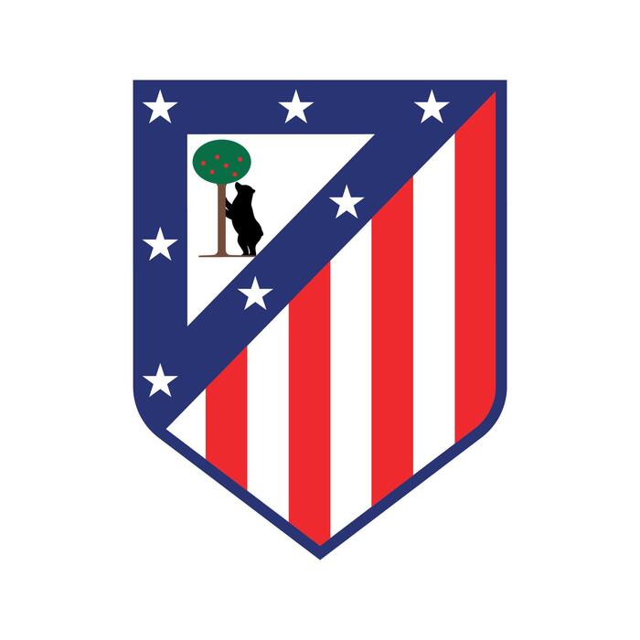 Atletico Madrid Takım Analizi